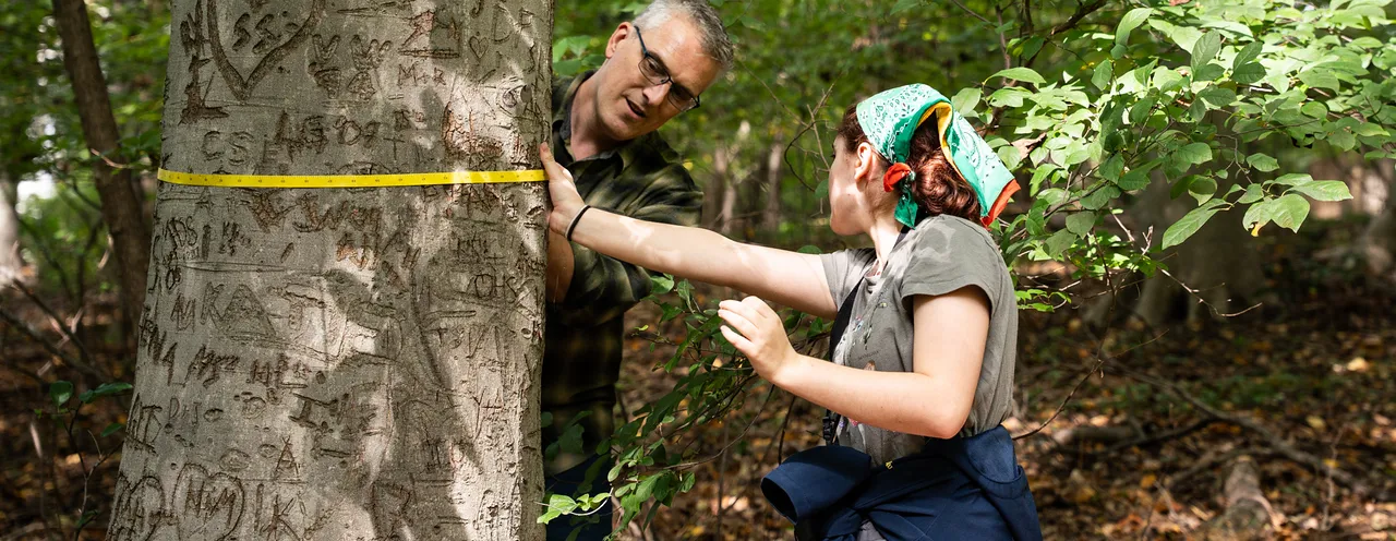 a student and professor measuring a tree for summer research program