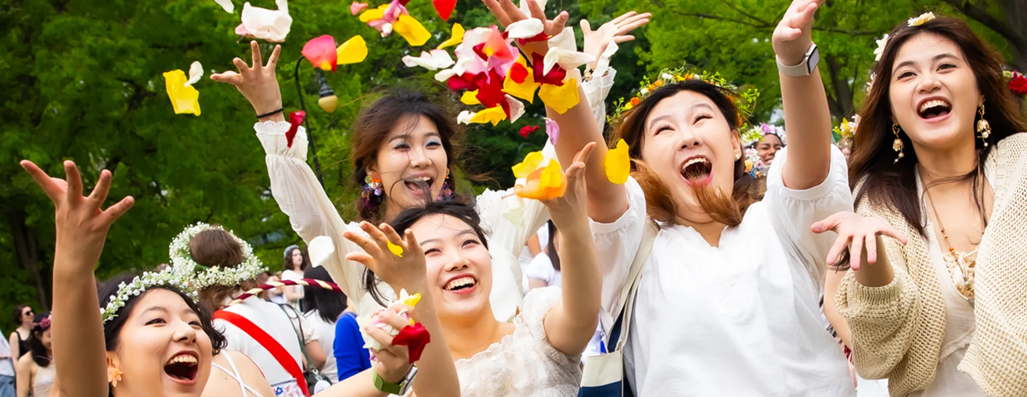 Next Chapter Pillar 2 - no flag