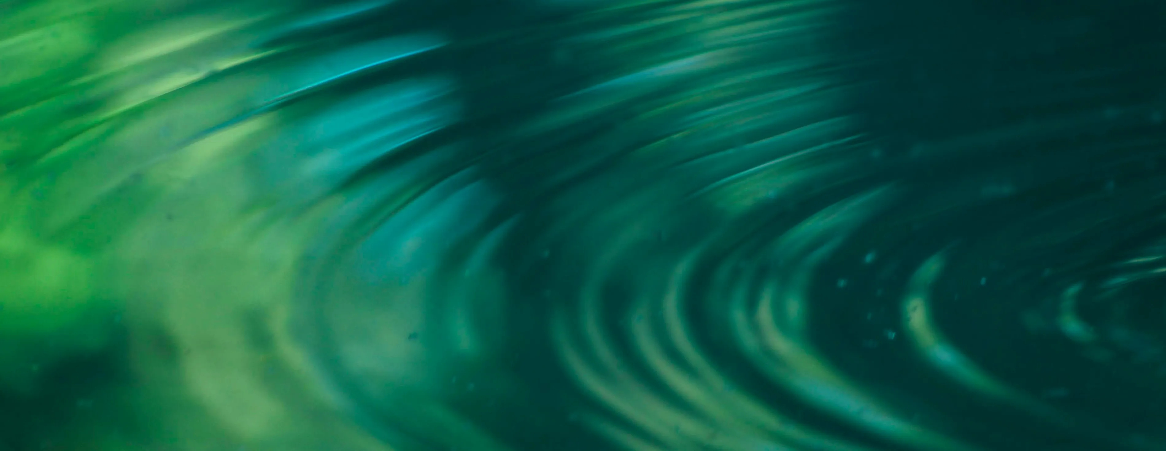 Ripples of water 