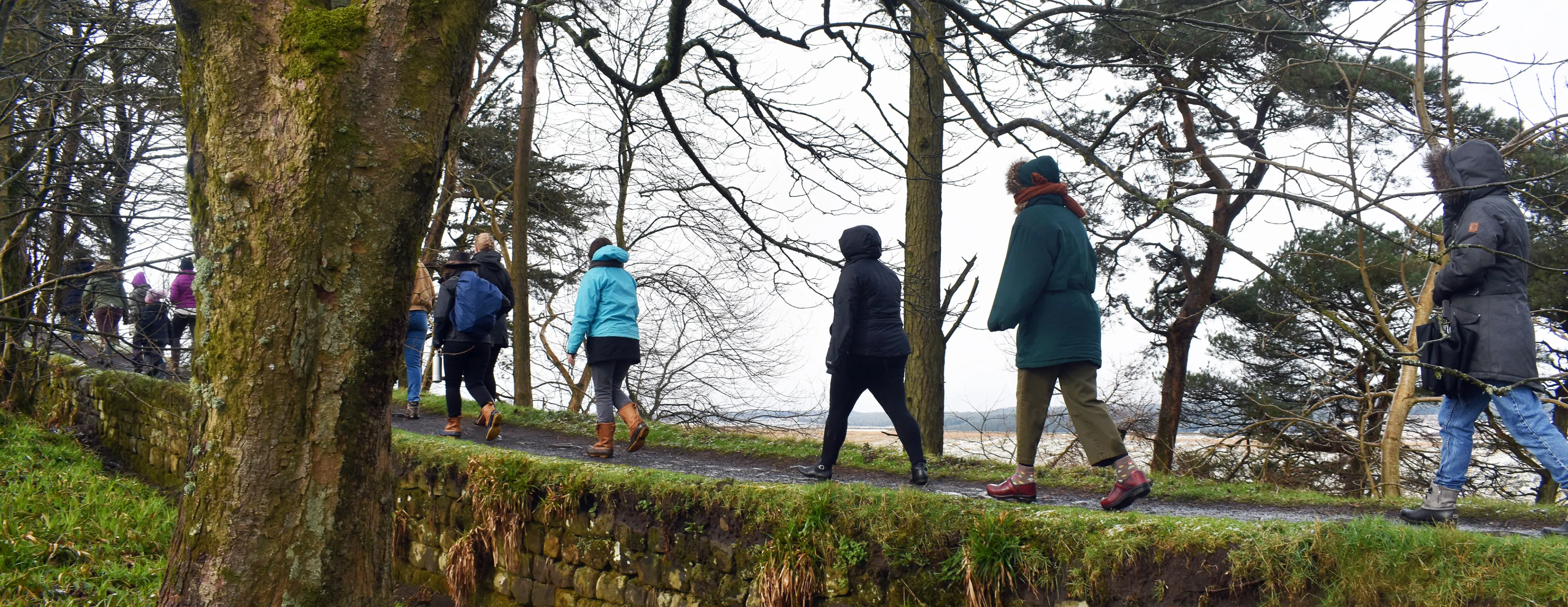 A group of Classical and Near Eastern Archaeology students walk a portion of Hadrian's wall