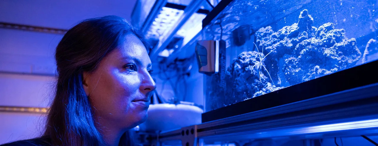 Professor in her faculty research lab