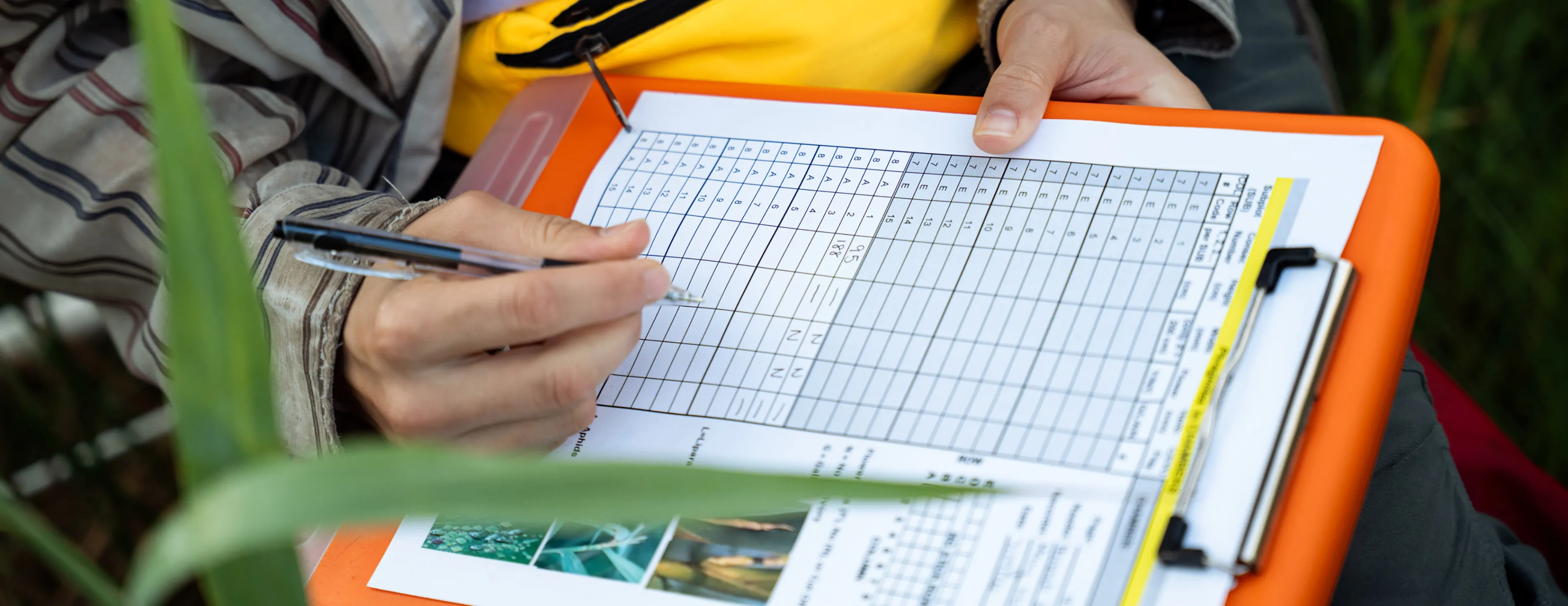 A student doing biology research collects data
