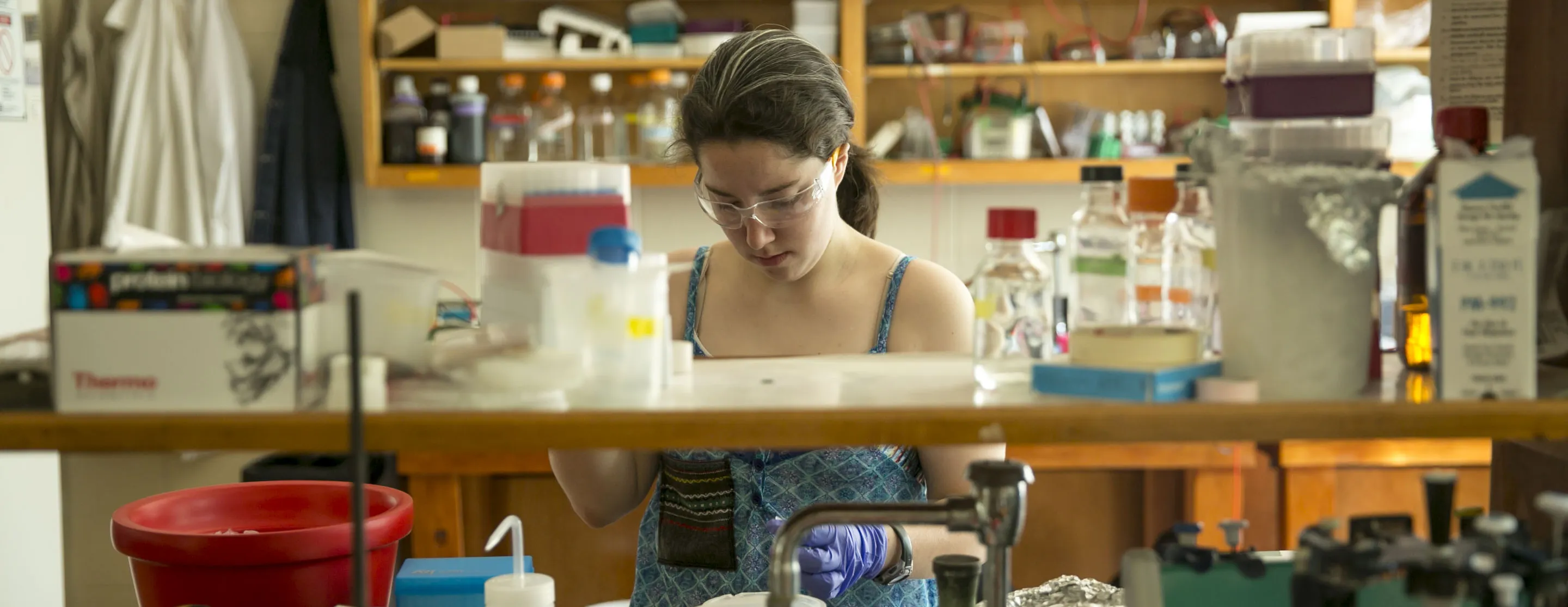 student research conducting lab work during summer sessions
