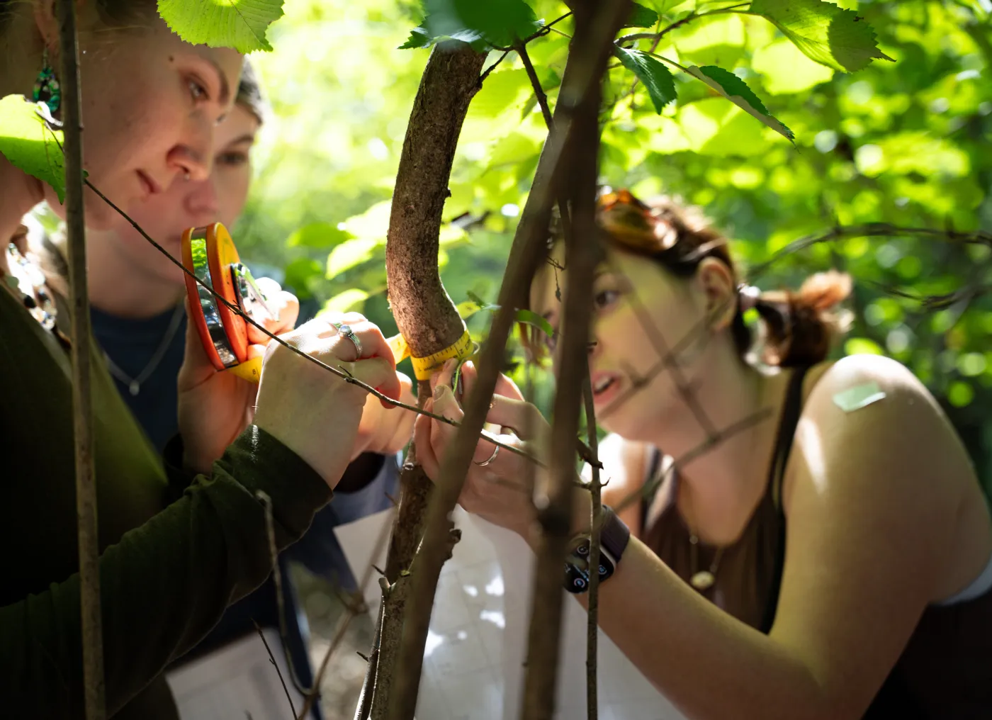 students doing research in the field