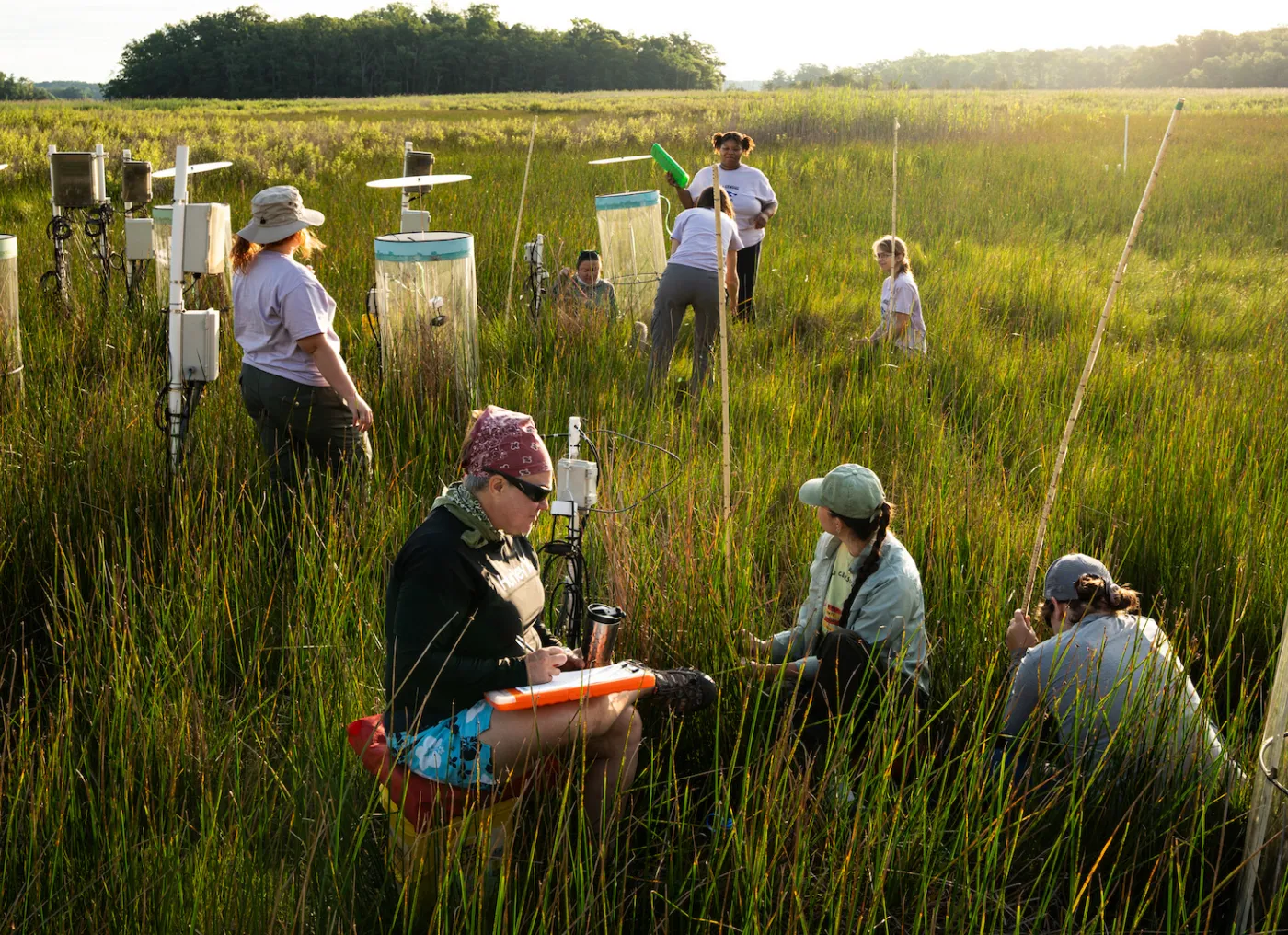 students doing research in a marsh