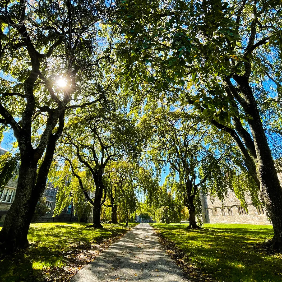Campus Trees