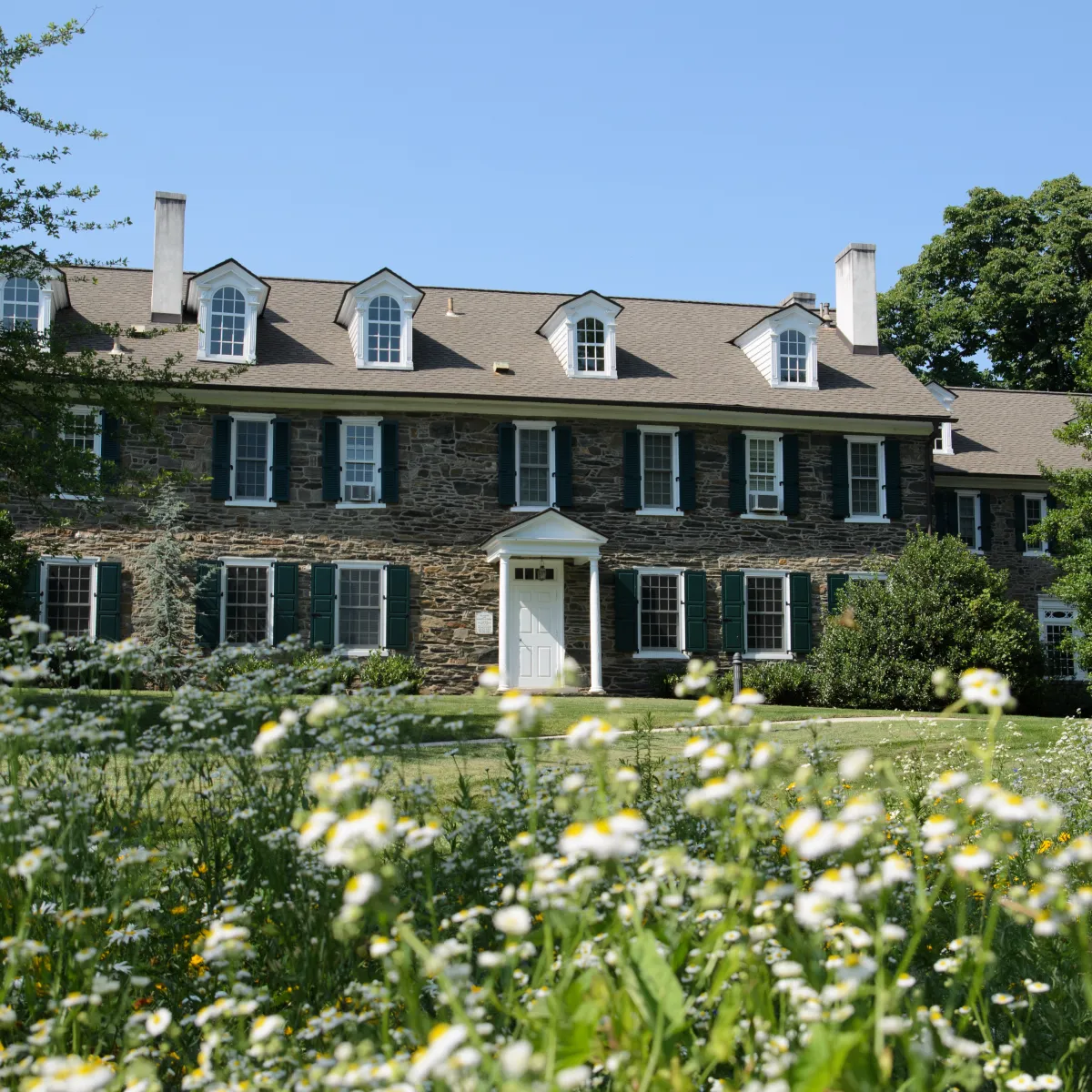Wyndham