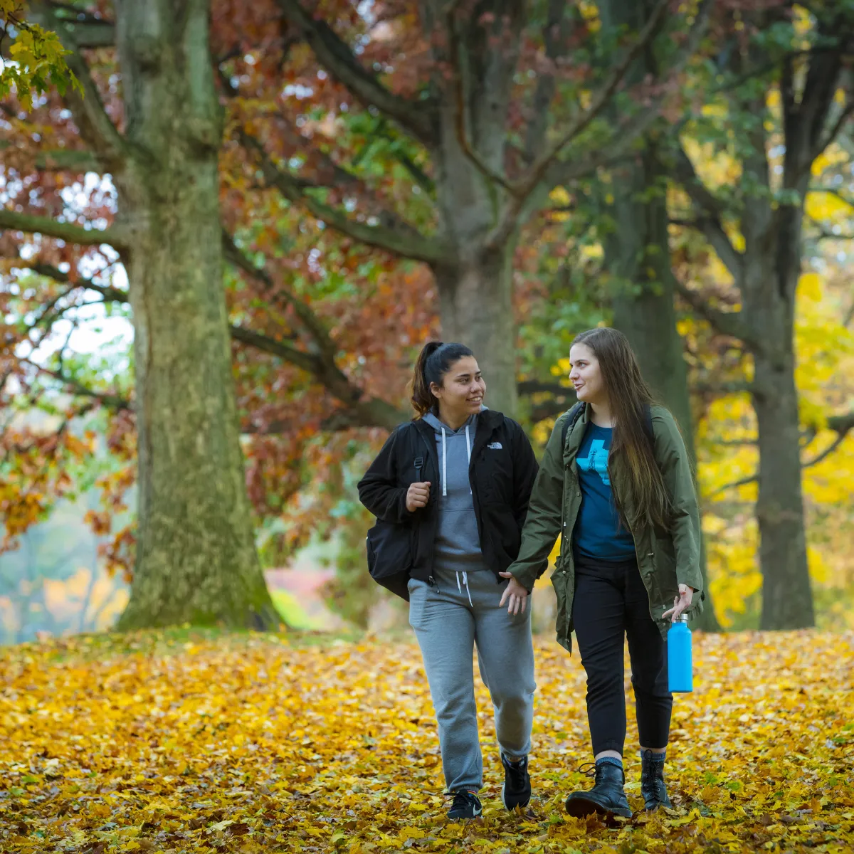 students autumn