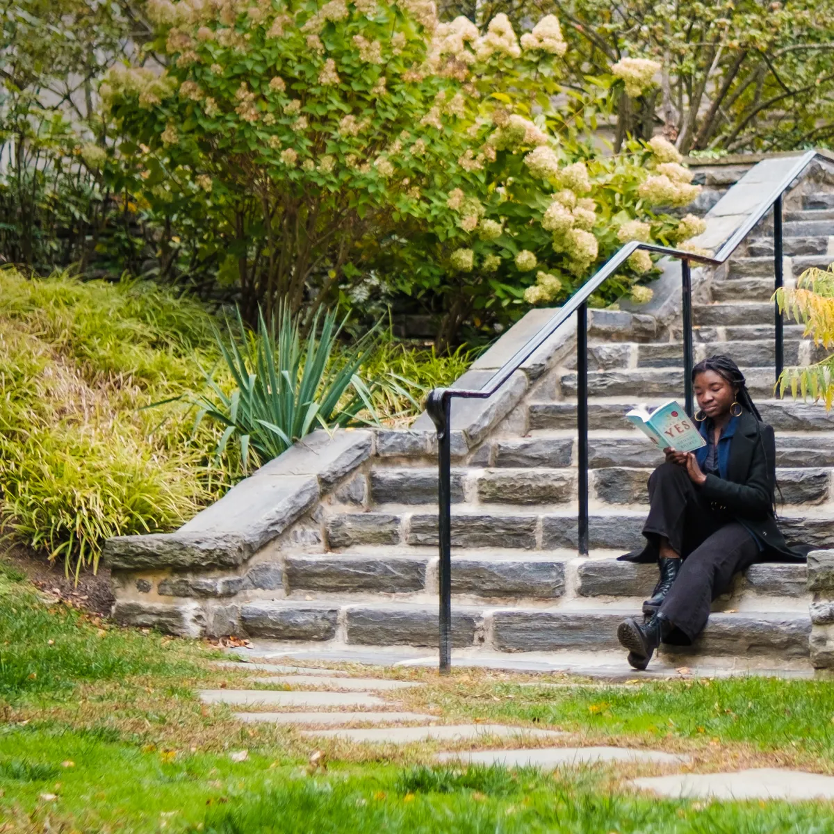 BMClibraries - home 2