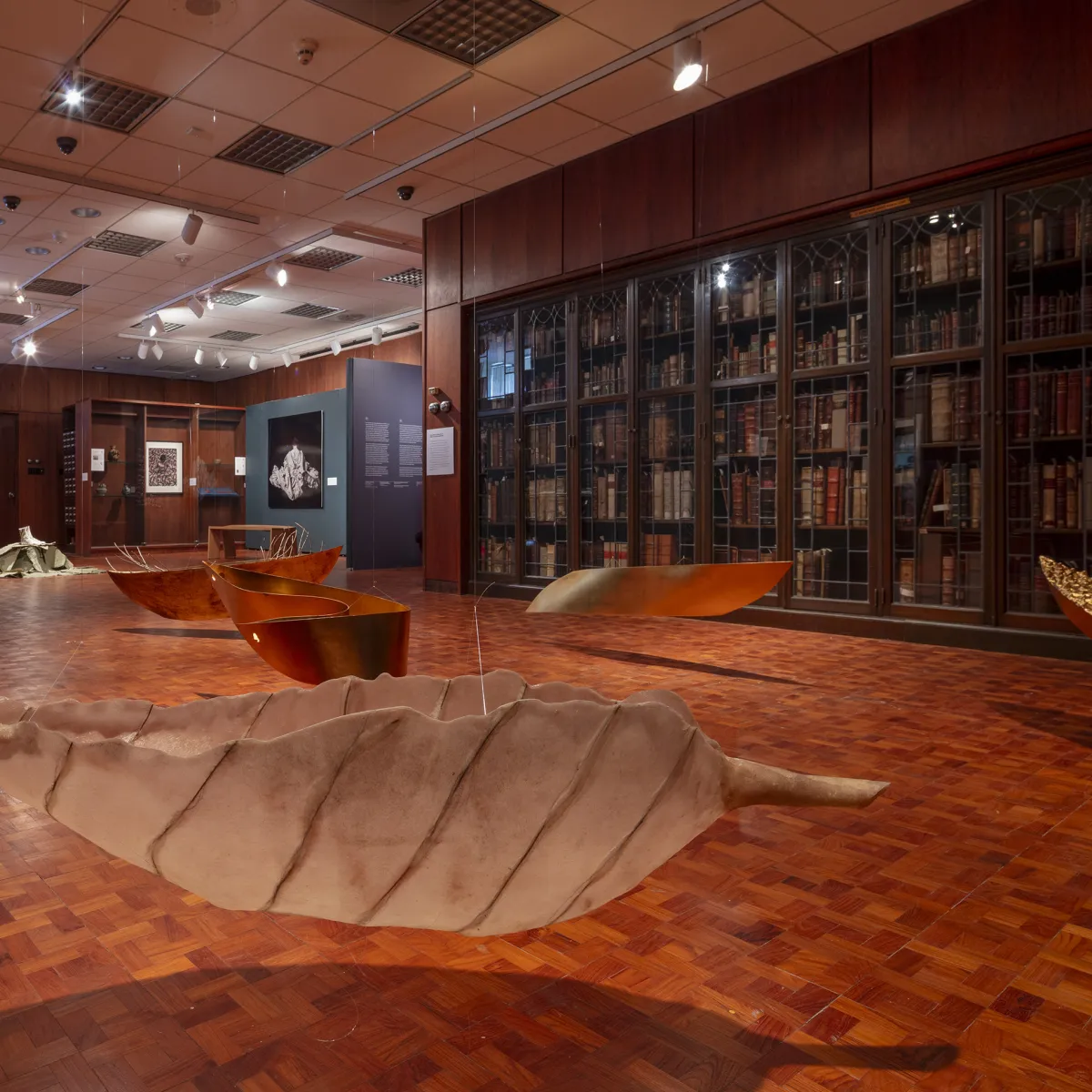 Special Collections - Home - Hero