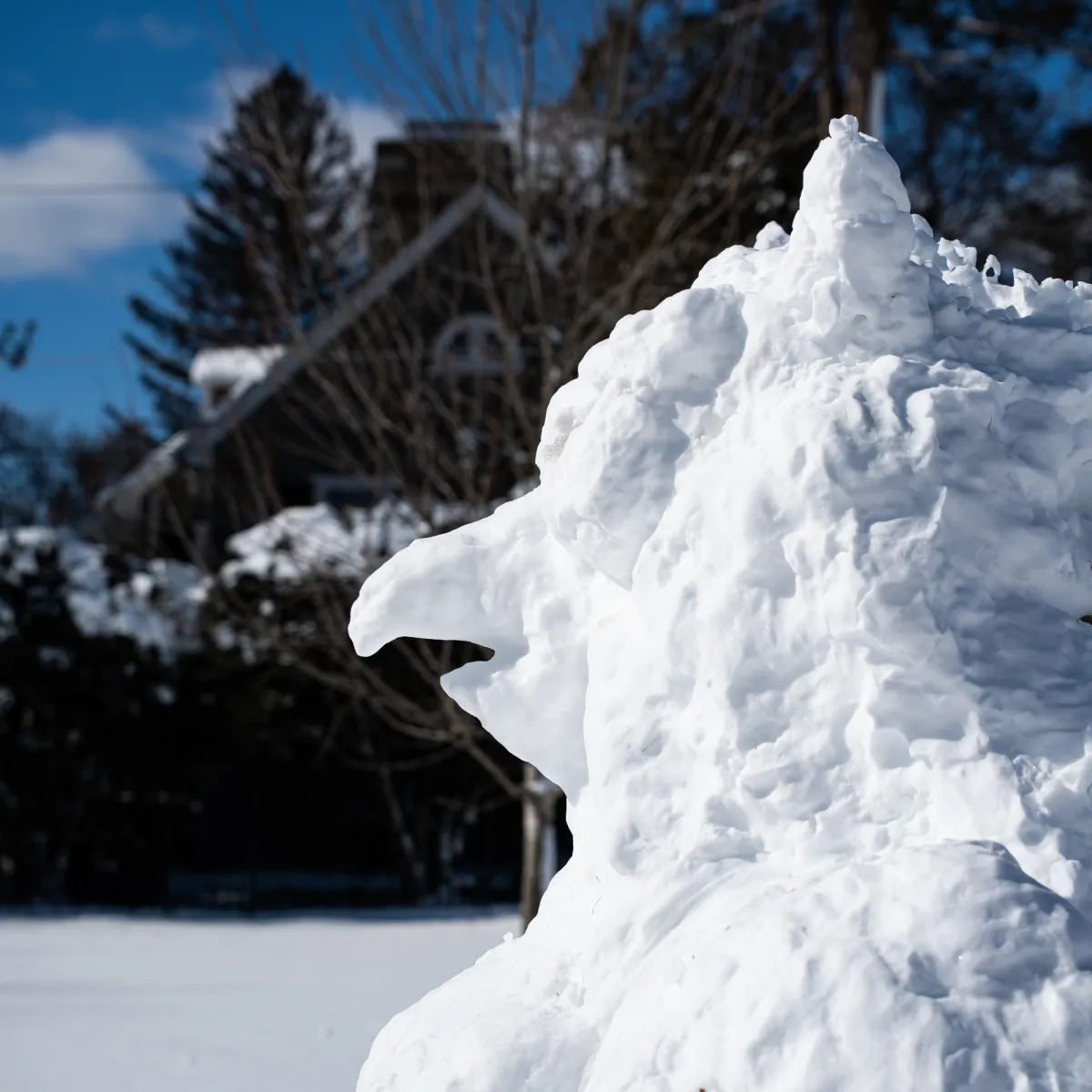 A snow sculpture created by a Bryn Mawr student