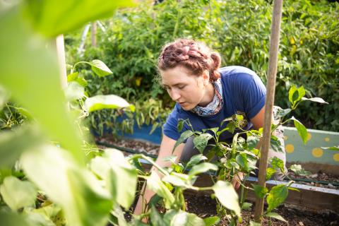 Hannah Cosgrove tending to a garden