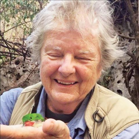 Kate Wallace holding a tody, a native Caribbean bird.