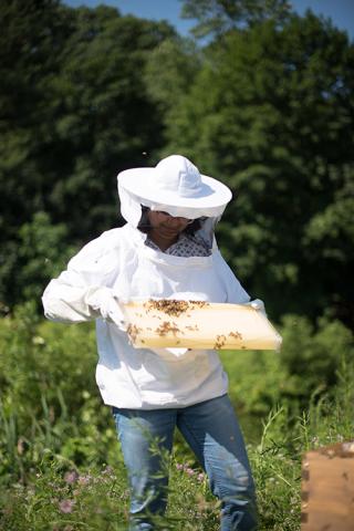 Ankitha Kannad keeping bees