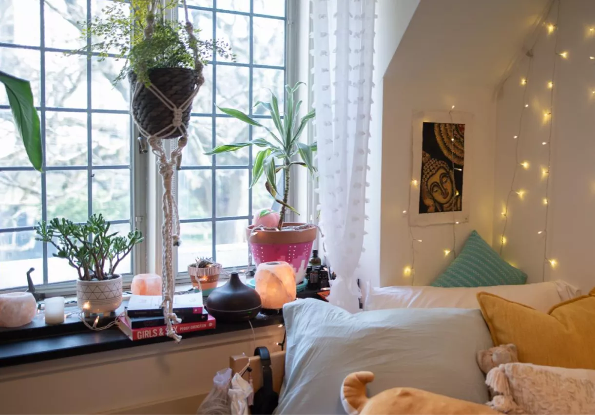 A room with fairy lights and hanging plants by a window