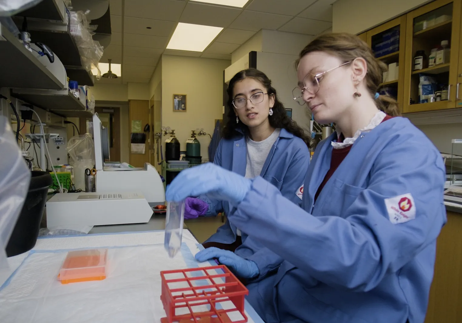 STEMLA lab photo