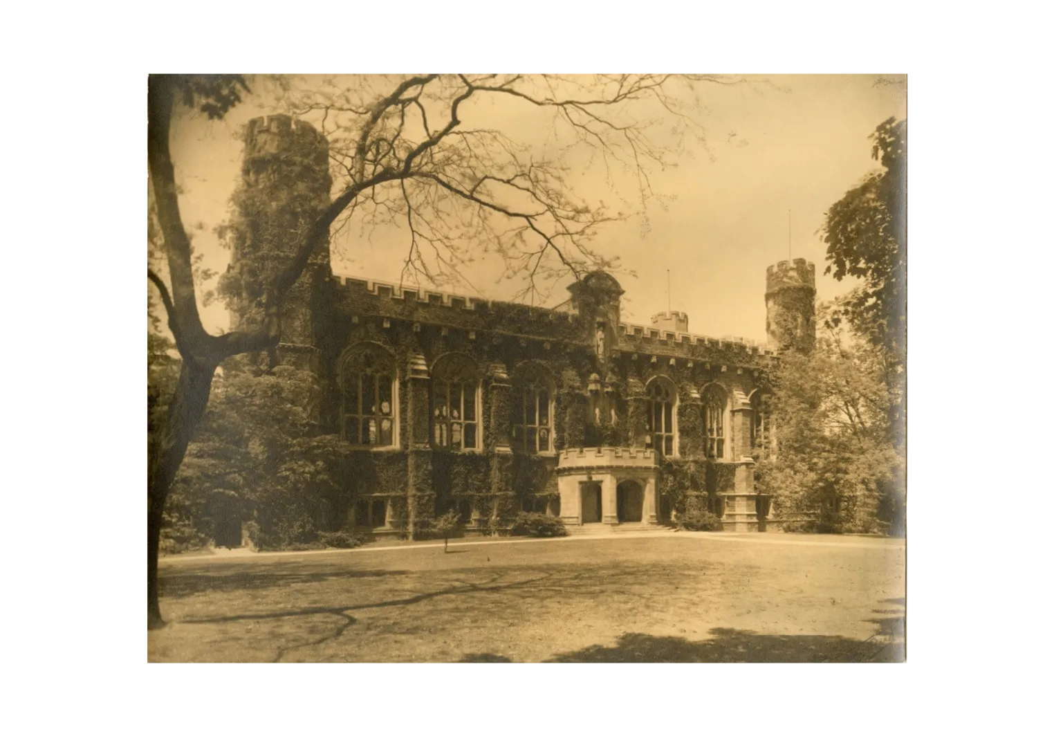 Old Library covered in vines from the 1900s