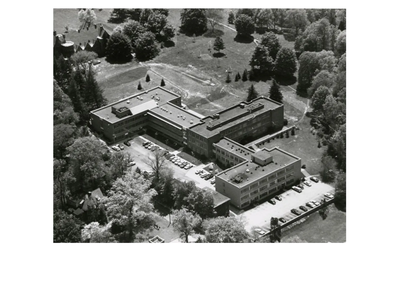 Park aerial shot