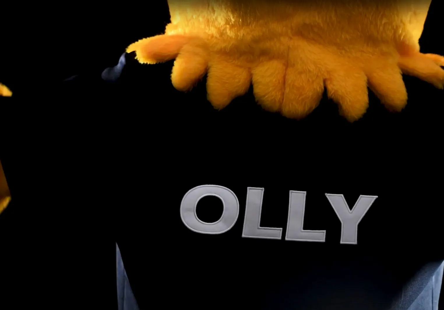 Olly name