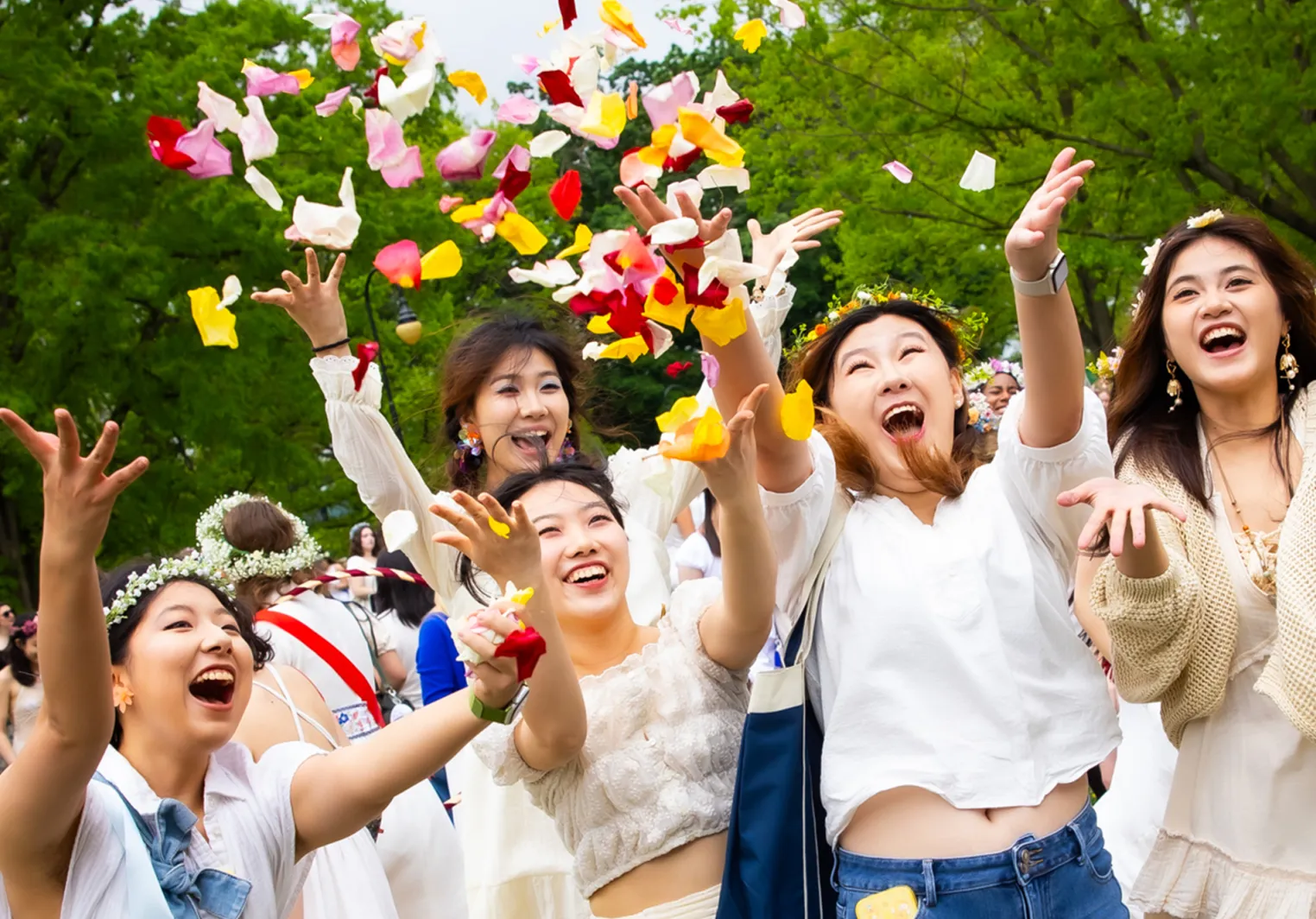 Next Chapter Pillar 2 - no flag