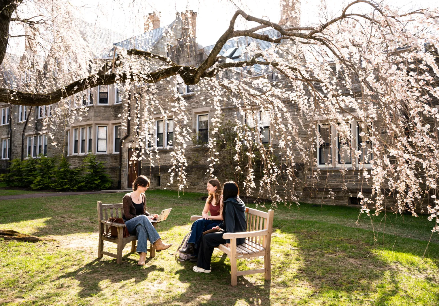 Students at Bryn Mawr sitting in the most beautiful campus