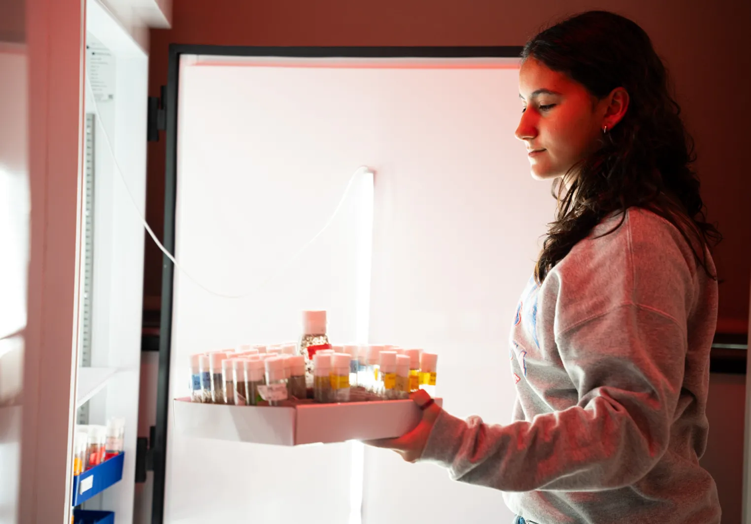 summer science research opportunities
