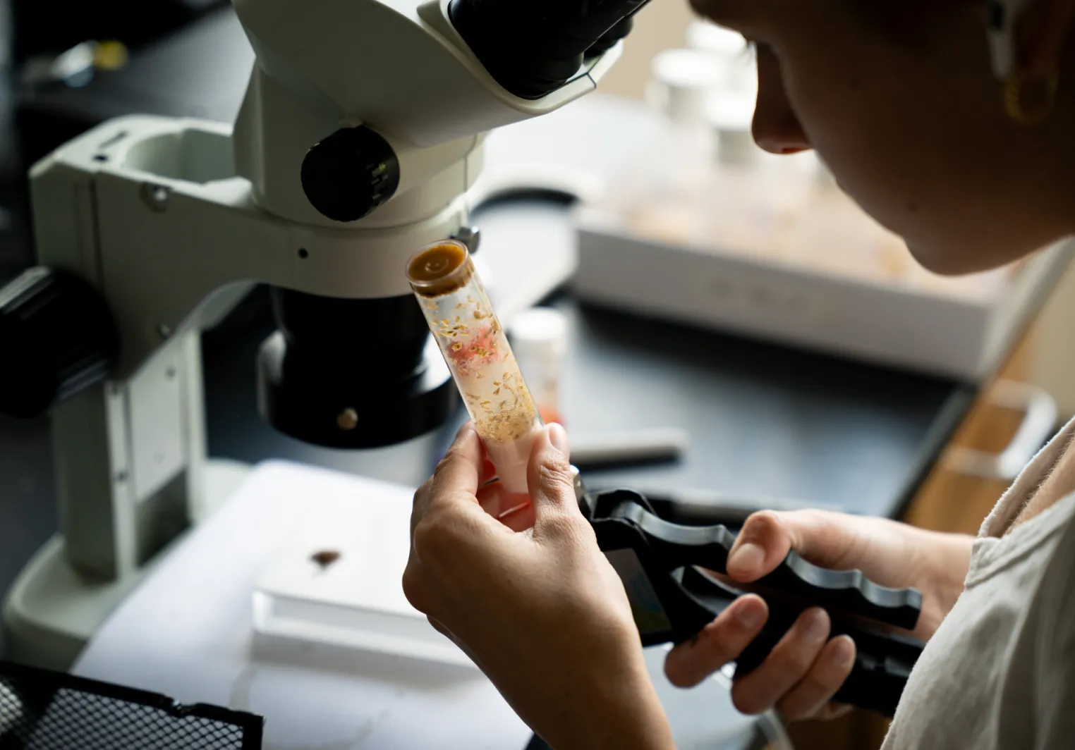 A biology student at Bryn Mawr College looks at a specimen
