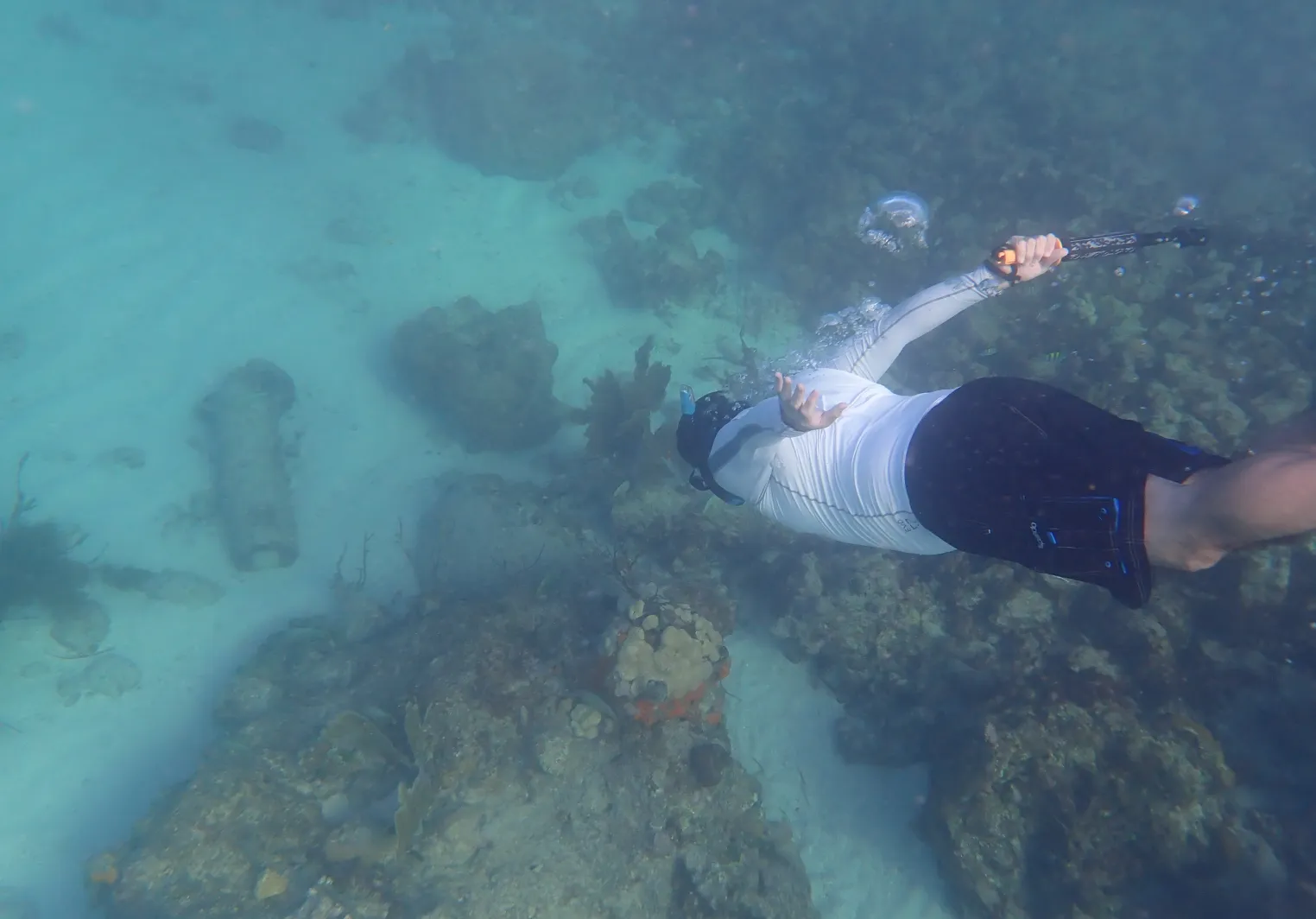 Pedro Marenco snorkeling as part of research opportunities
