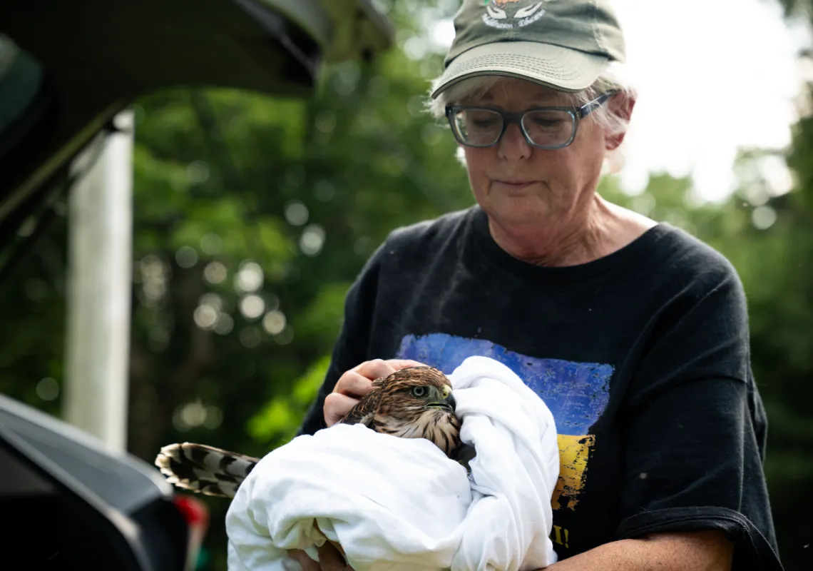 Barbara Miller with hawk