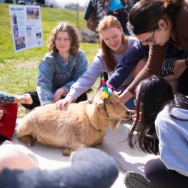 A goat wearing a unicorn headband surrounded by a group of students
