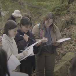 Students in the woods taking field notes