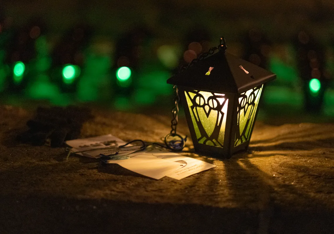 Green lantern with owl design