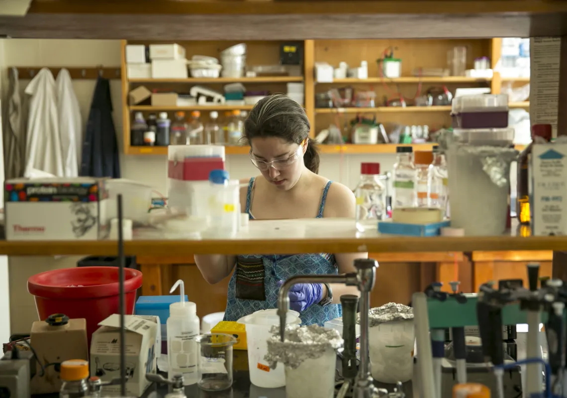 student research conducting lab work during summer sessions