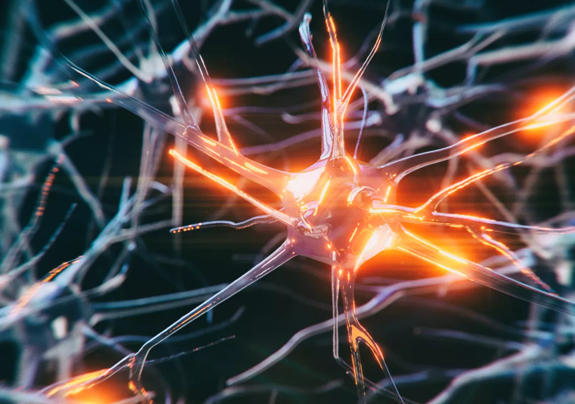neuro