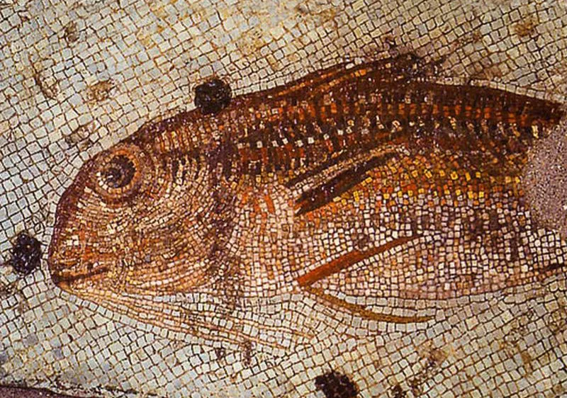 Fish mosaic