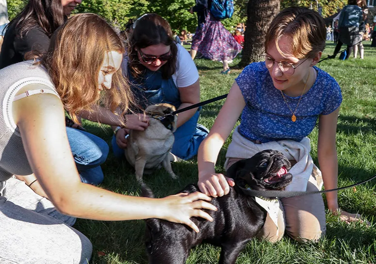 Convocation 2024 Community Picnic Students Petting Pugs