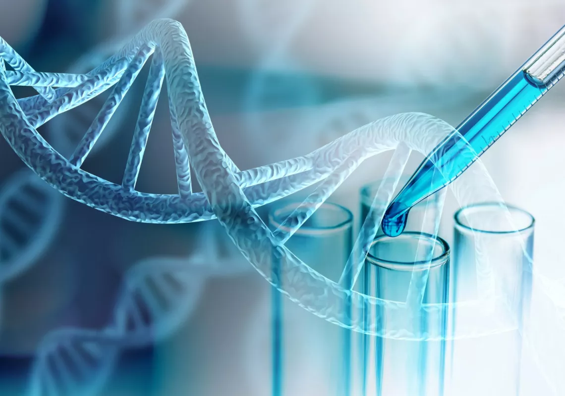 BioChem Stock