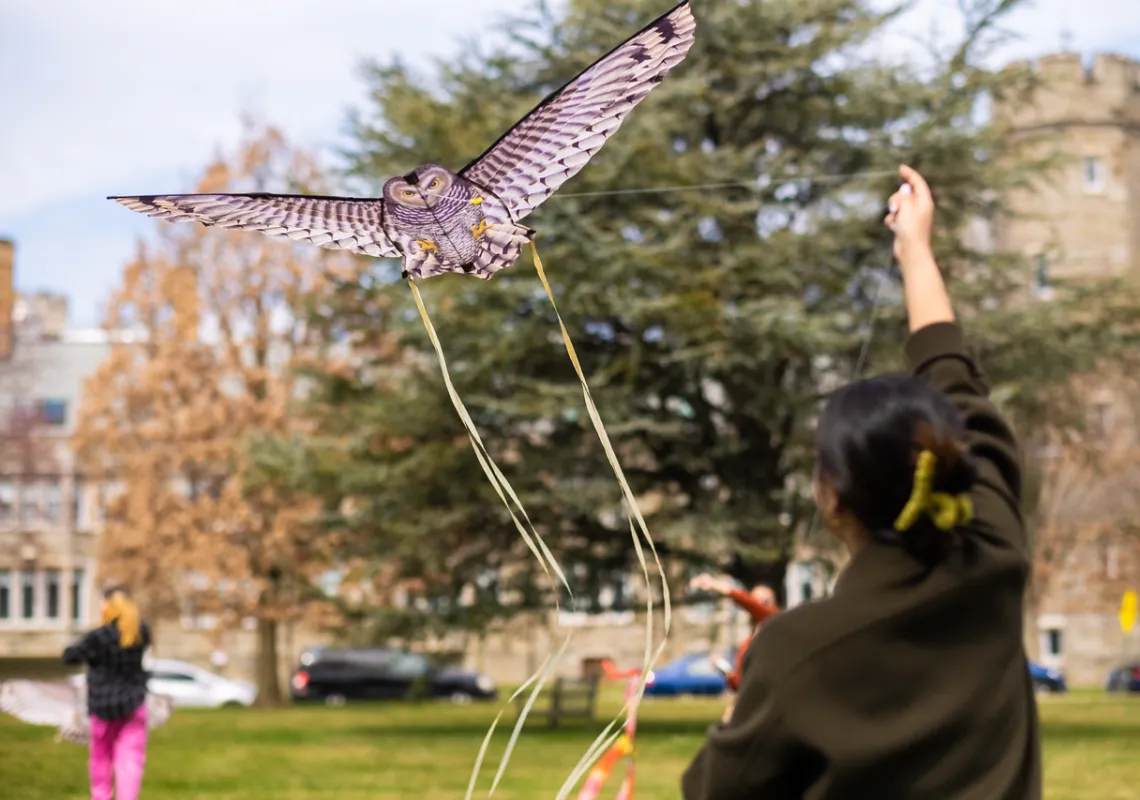 kite