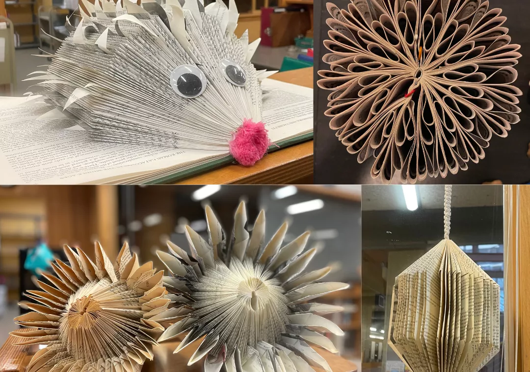 Paper Hedgehogs and Flowers