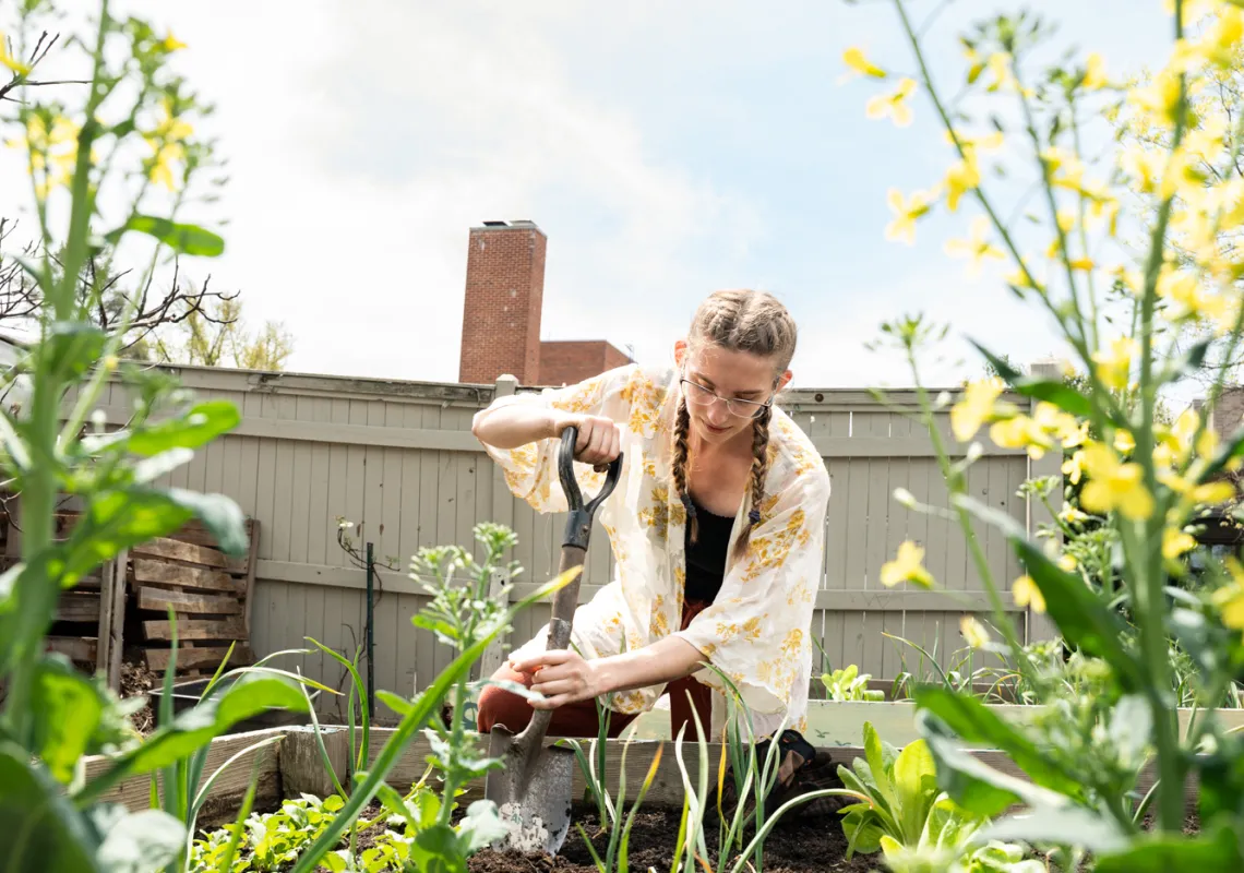 Milena Lewis ’25 planting in the garden. Photos by Caroline Bittenbender.