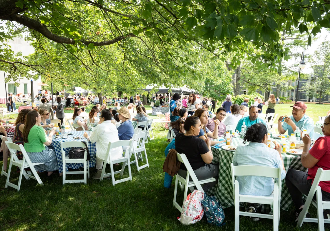 Staff sitting at tables under trees