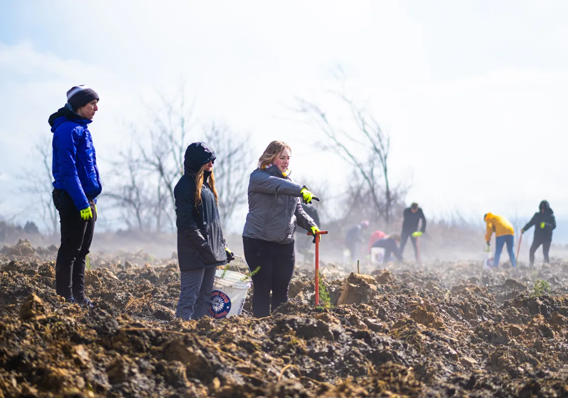 Planting trees in Altoona
