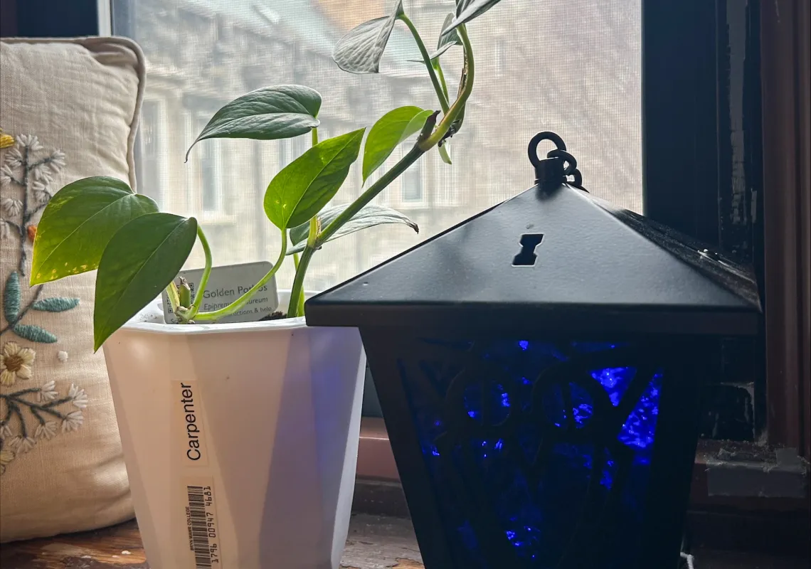 Plant Lending Library 