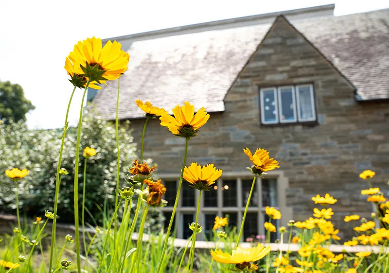 Yellow flowers in front of campus building
