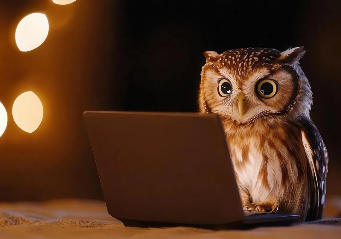 owl at laptop ai stock