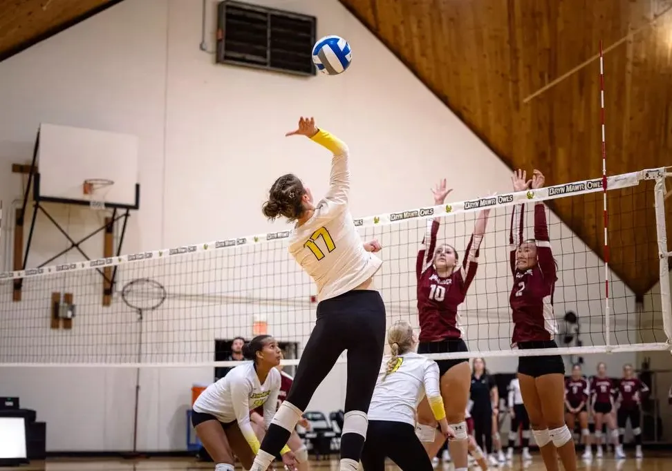 volleyball action shot