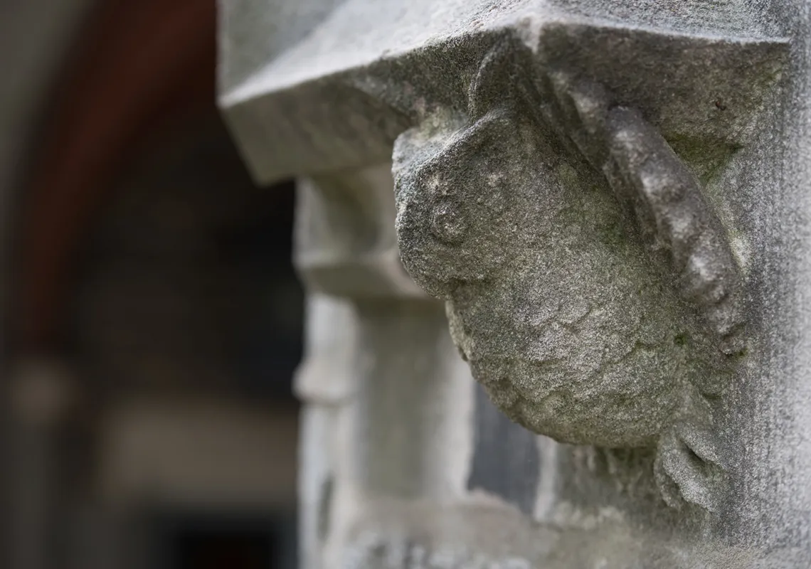 Event Image Placeholder - Default Image 2