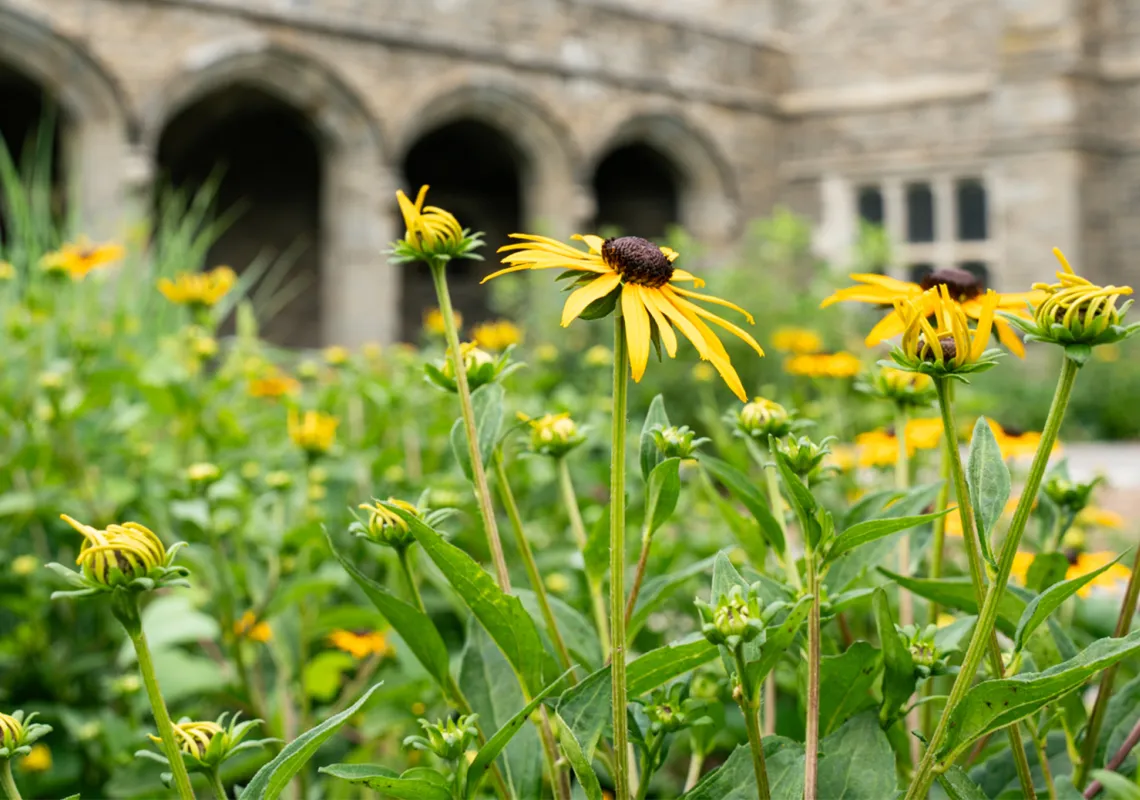 Event Image Placeholder - Default Image 26