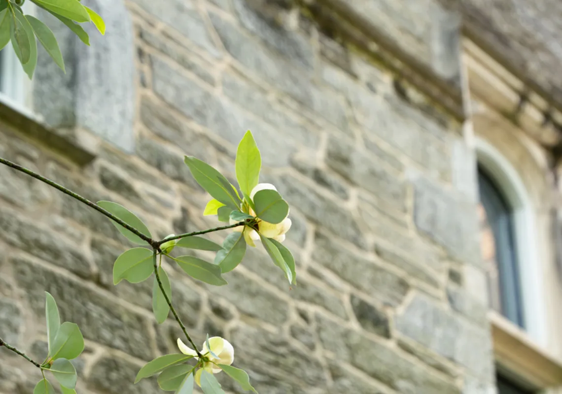 Event Image Placeholder - Default Image 64