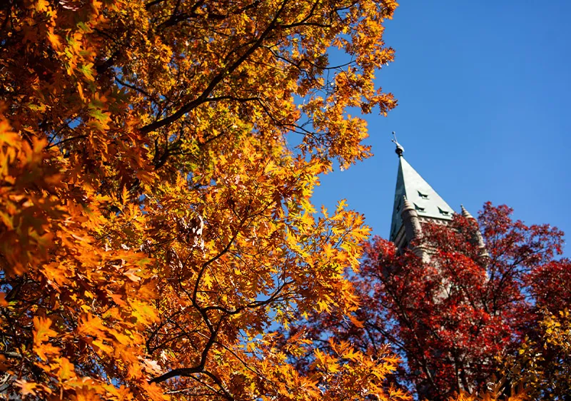 Fall Foliage and Taylor Hall Clock
